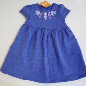 Gymboree Girl Dress Size 2T Purple